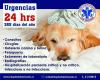 Hospital clnico veterinario las rastras talca