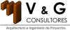 V&G consultores